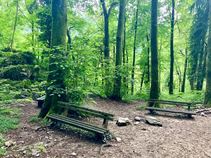 51285463925_25ca306089_o