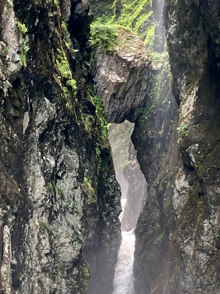 51326126418_fd720a99e9_o