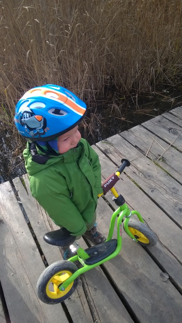 31332087545_9f03669a58_o