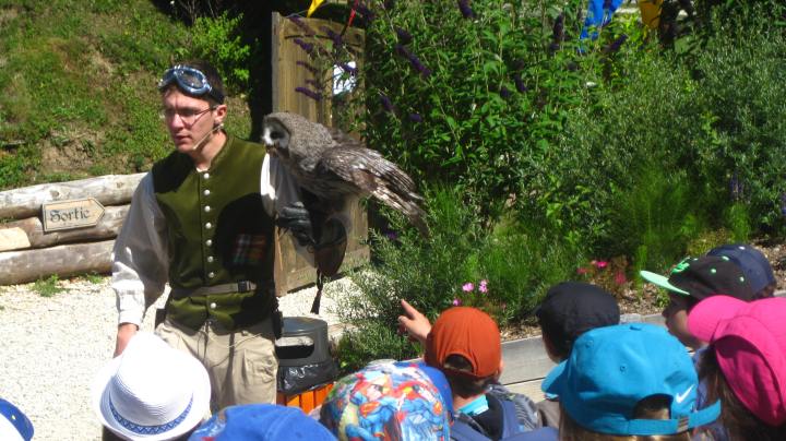 35349467420_f0d06fb16e_o