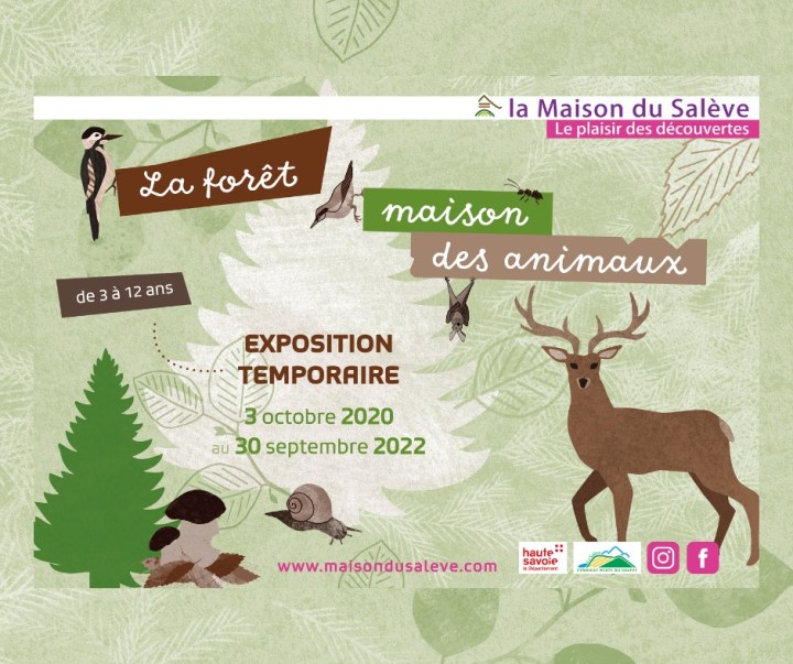 120727446_2444212305885252_3377352230050622015_n