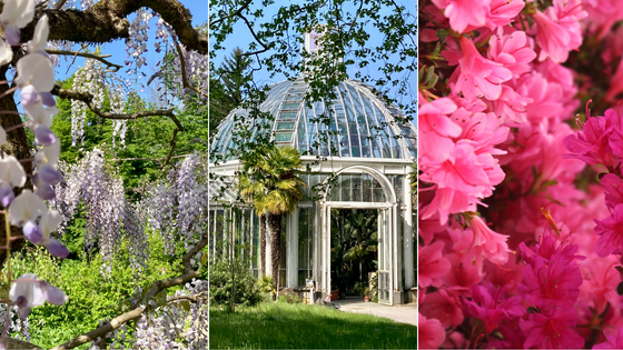 Conservatoire et Jardin Botaniques de la Ville de Genève (CJBG
