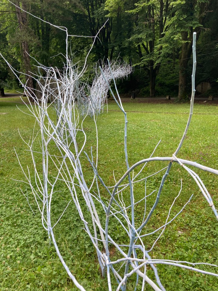 51286999161_9785fb79ea_o