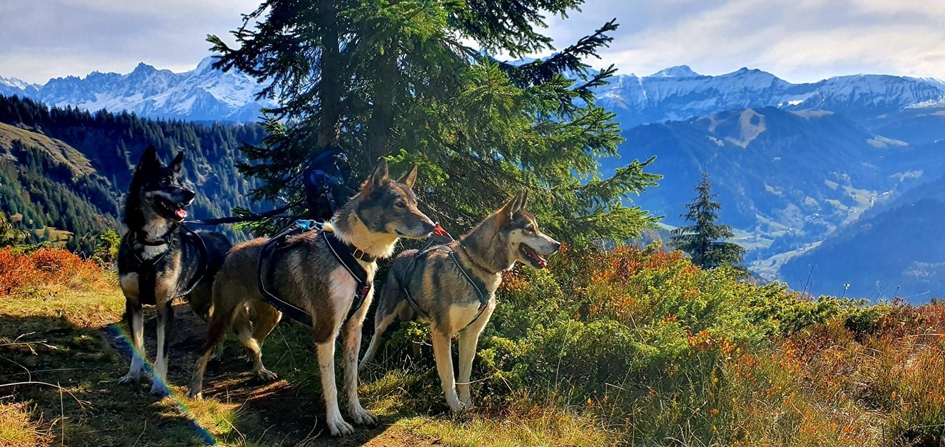 122282042_3346249438795394_8503697005109213646_o