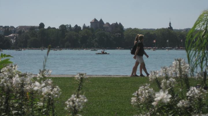 48635462477_2fdde454be_o