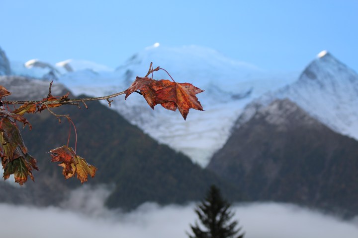 48860045737_4e16492371_o