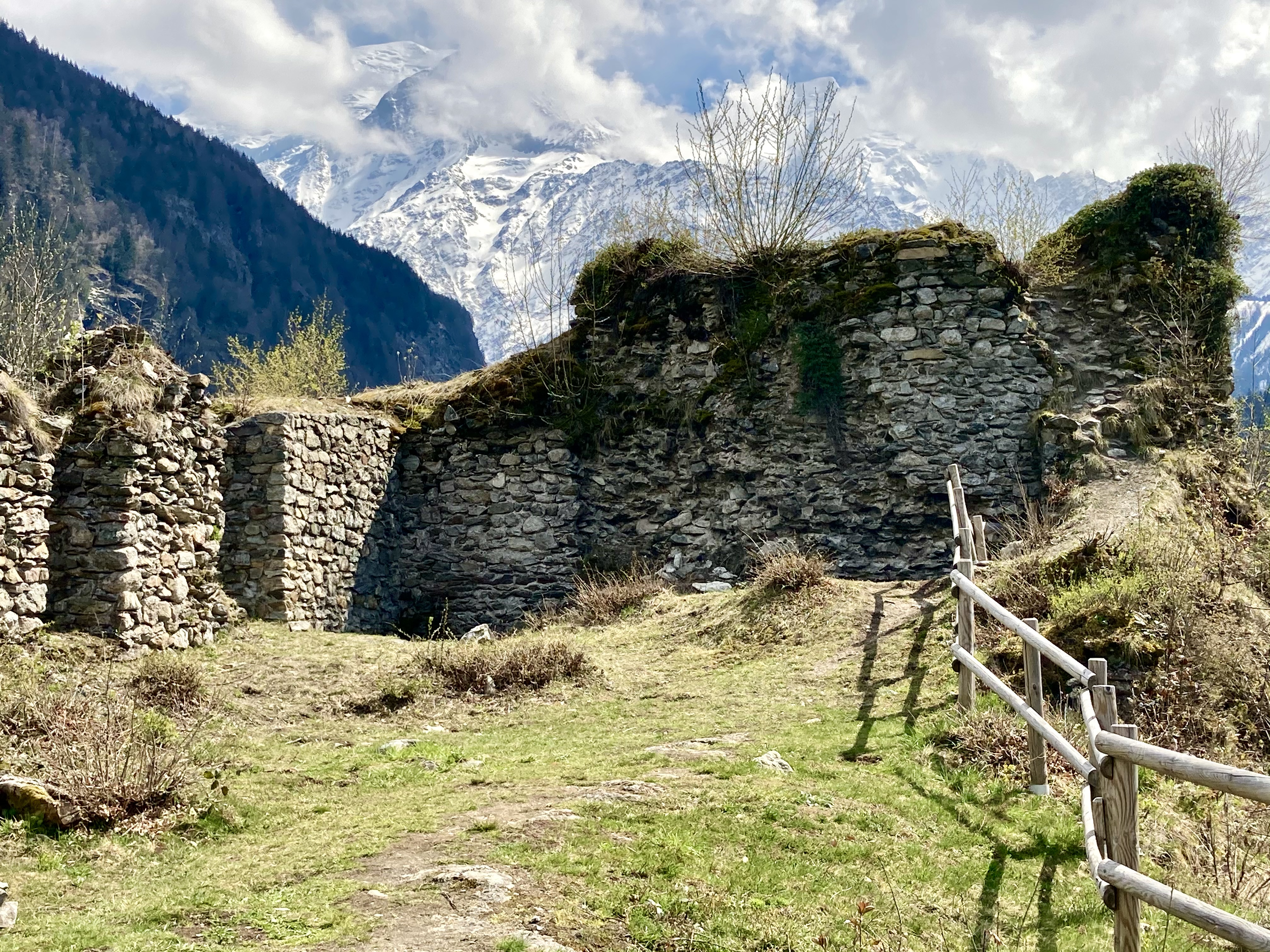 51117538708_7eb4d34b1f_o