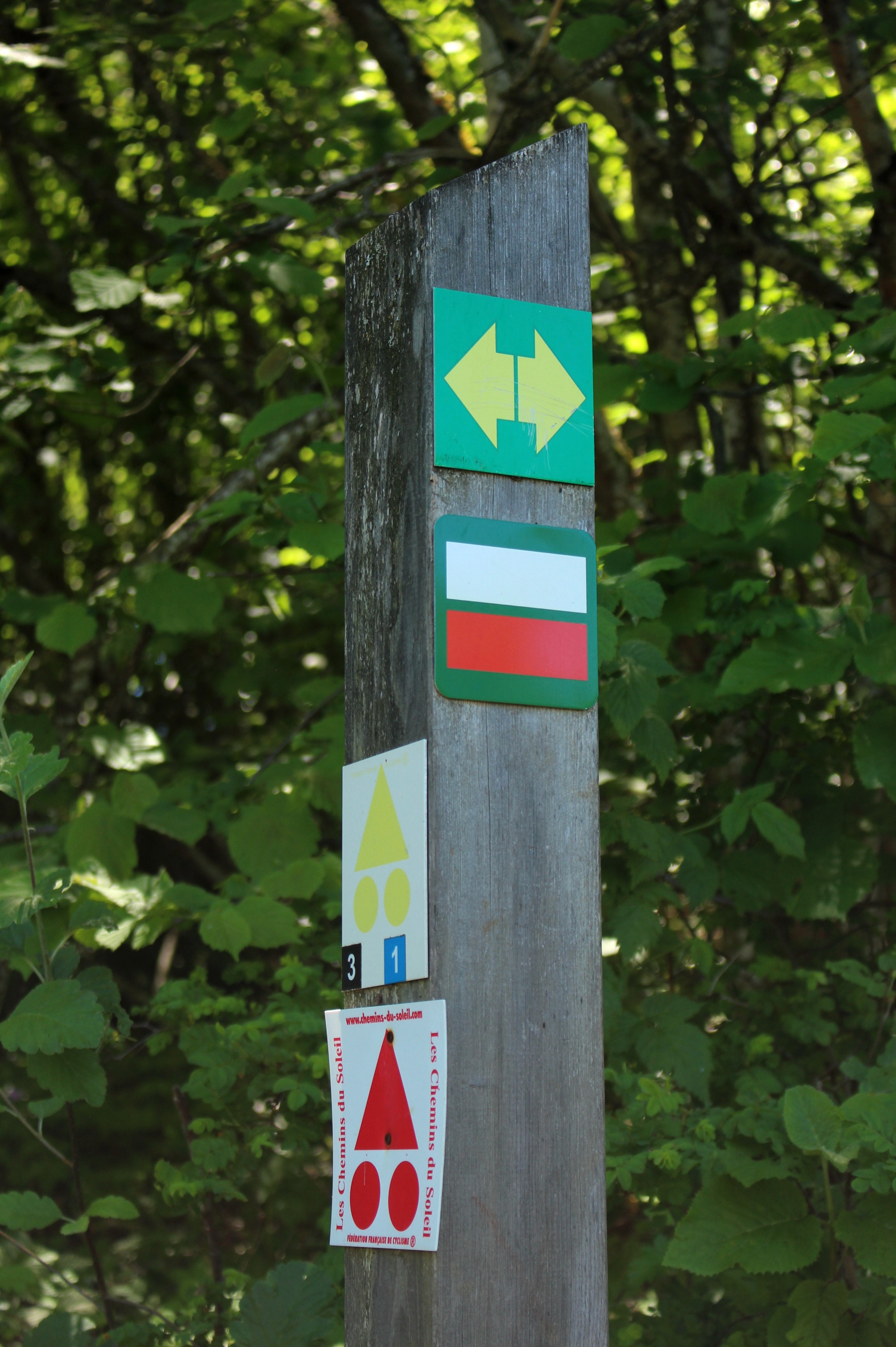 51249339955_d86d424d2a_o