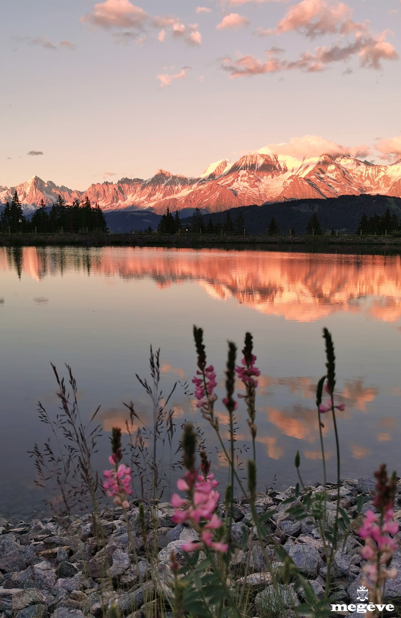 213162774_10158156991007197_8173719882645860106_n